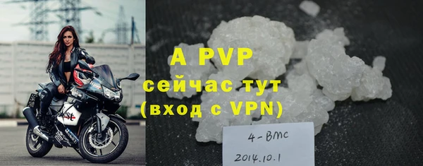 соль ск Ростов
