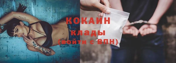 гидра Абаза