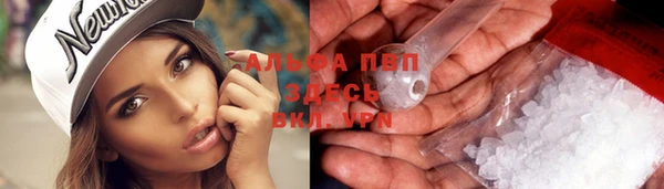 ГАЛЛЮЦИНОГЕННЫЕ ГРИБЫ Россошь