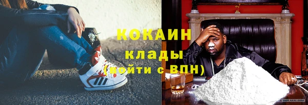 гидра Абаза