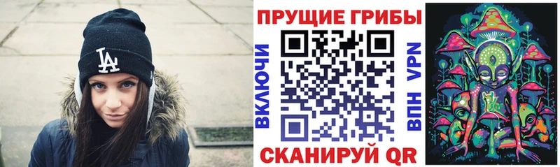 Галлюциногенные грибы Psilocybe  Белоусово 